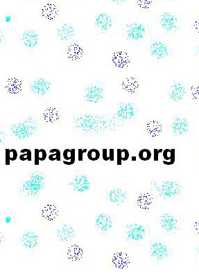 Titolo papagroup.org